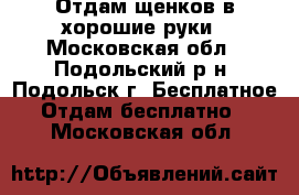 Отдам щенков в хорошие руки - Московская обл., Подольский р-н, Подольск г. Бесплатное » Отдам бесплатно   . Московская обл.